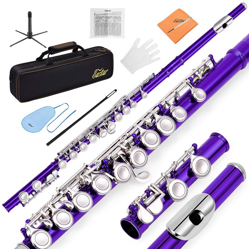 Eastar Closed Hole 16 Keys Flute for Beginner Kids Student with Fingering Chart, Cleaning Kit, Stand, Case, Gloves, Tuning Rod, Purple, EFL-1Pu - Image 1